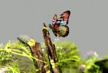 digital exploration journey unfolds
