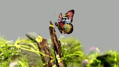 digital exploration journey unfolds