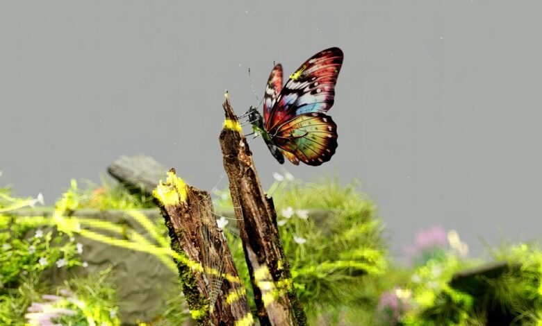 digital exploration journey unfolds