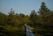 journey of unique exploration