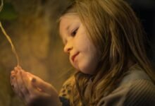 magic and wonder profile
