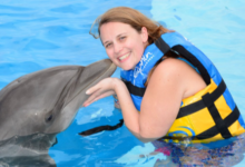 How to Enjoy a Dolphin Encounter in Punta Cana