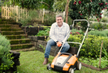 Lawn Mowing Tips for Wando SC Homes