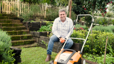 Lawn Mowing Tips for Wando SC Homes