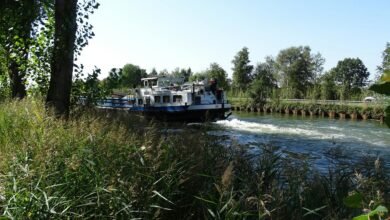 operational flow insights analysis