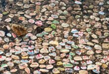 curious and intriguing name