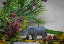 curious black model rk547h35