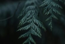 name with deep meaning