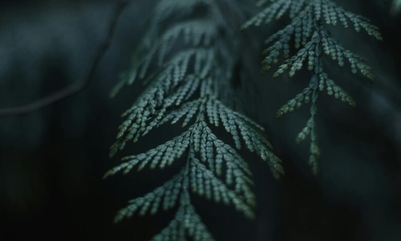 name with deep meaning