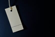 puog model price details