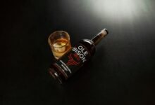 sally rychlak ole miss