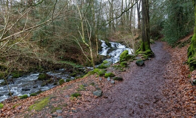 nova flow performance path