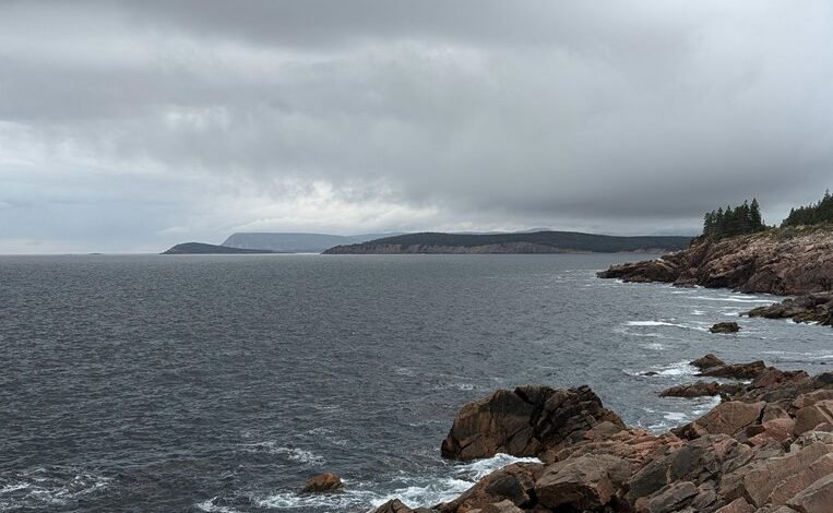 nova surge vector dynamics