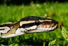 smart scaling performance insights