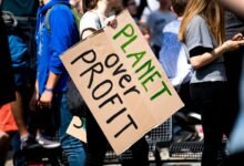 successful profit expansion strategy