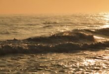 vibrant neon horizon pulse