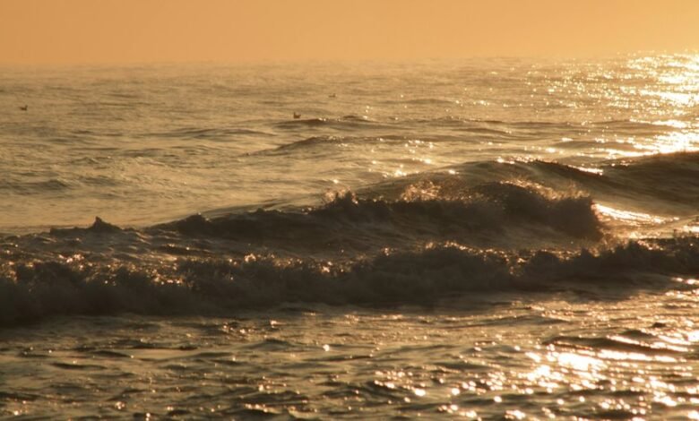 vibrant neon horizon pulse